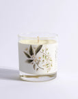Jasmine and Orange Blossom Candle