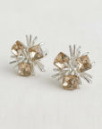The Crystal Earrings