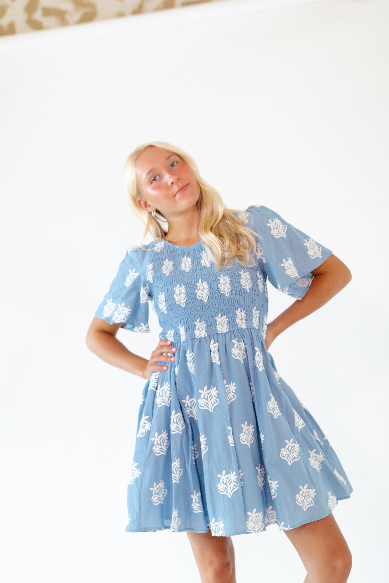 Wilma Embroidered Dress