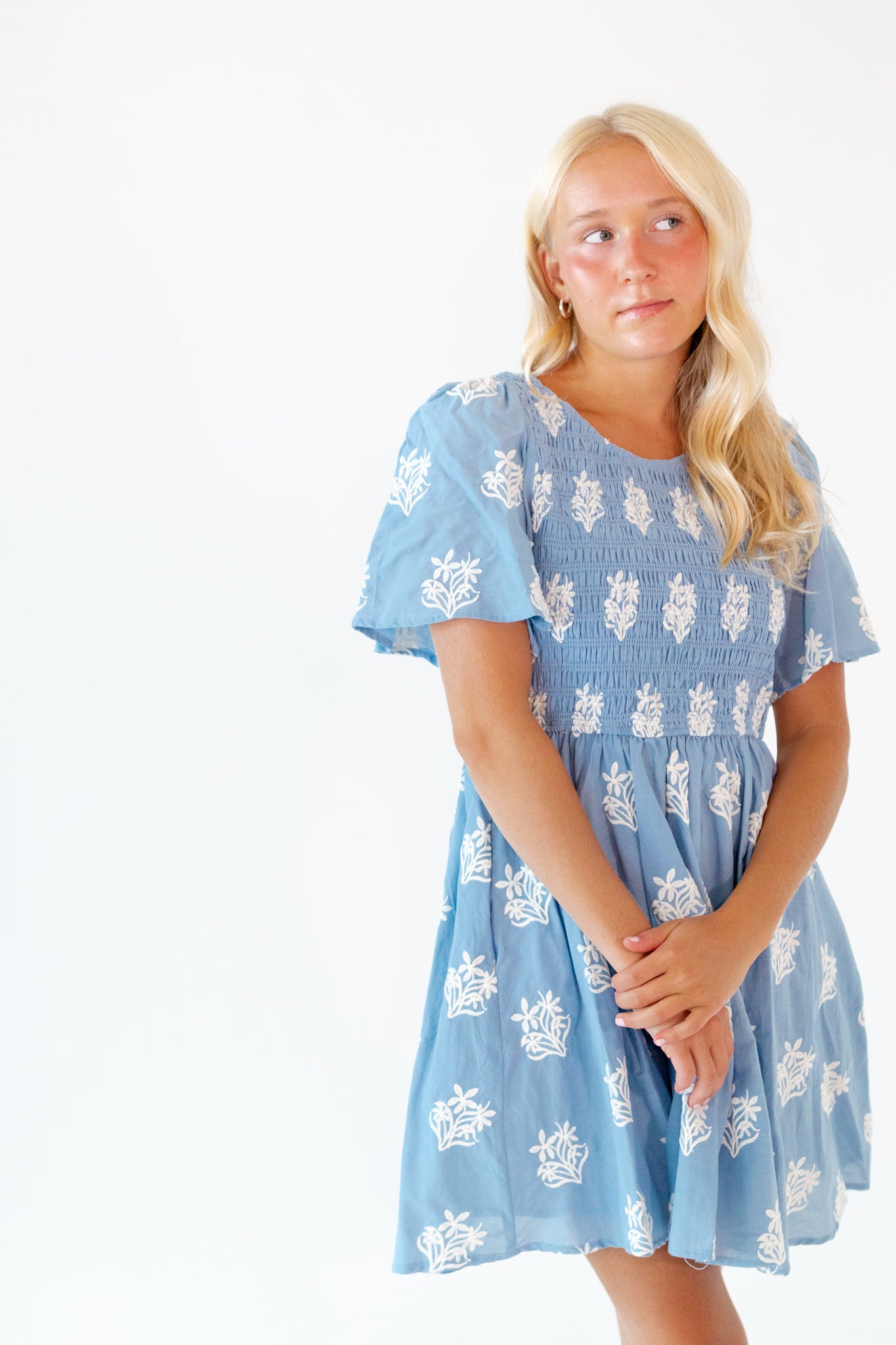 Wilma Embroidered Dress