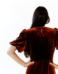 Chestnut Velvet Midi Dress