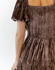 Johanna Crushed Velvet Dress