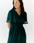 Ilena Embroidered Chiffon Midi Dress