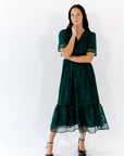 Ilena Embroidered Chiffon Midi Dress
