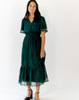 Ilena Embroidered Chiffon Midi Dress