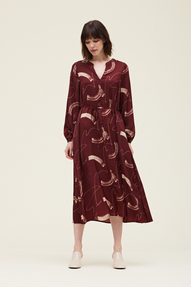 Vasma Printed Midi Dress