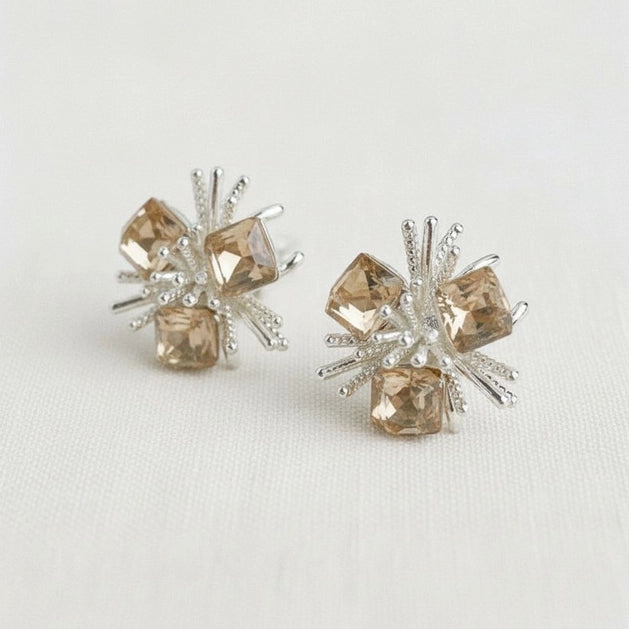 The Crystal Earrings