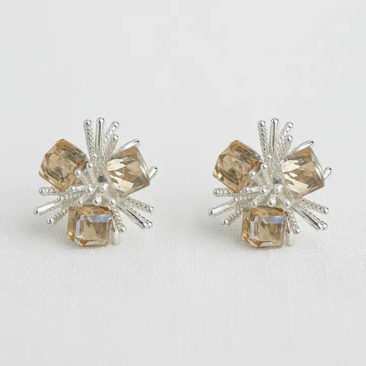 The Crystal Earrings