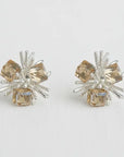 The Crystal Earrings