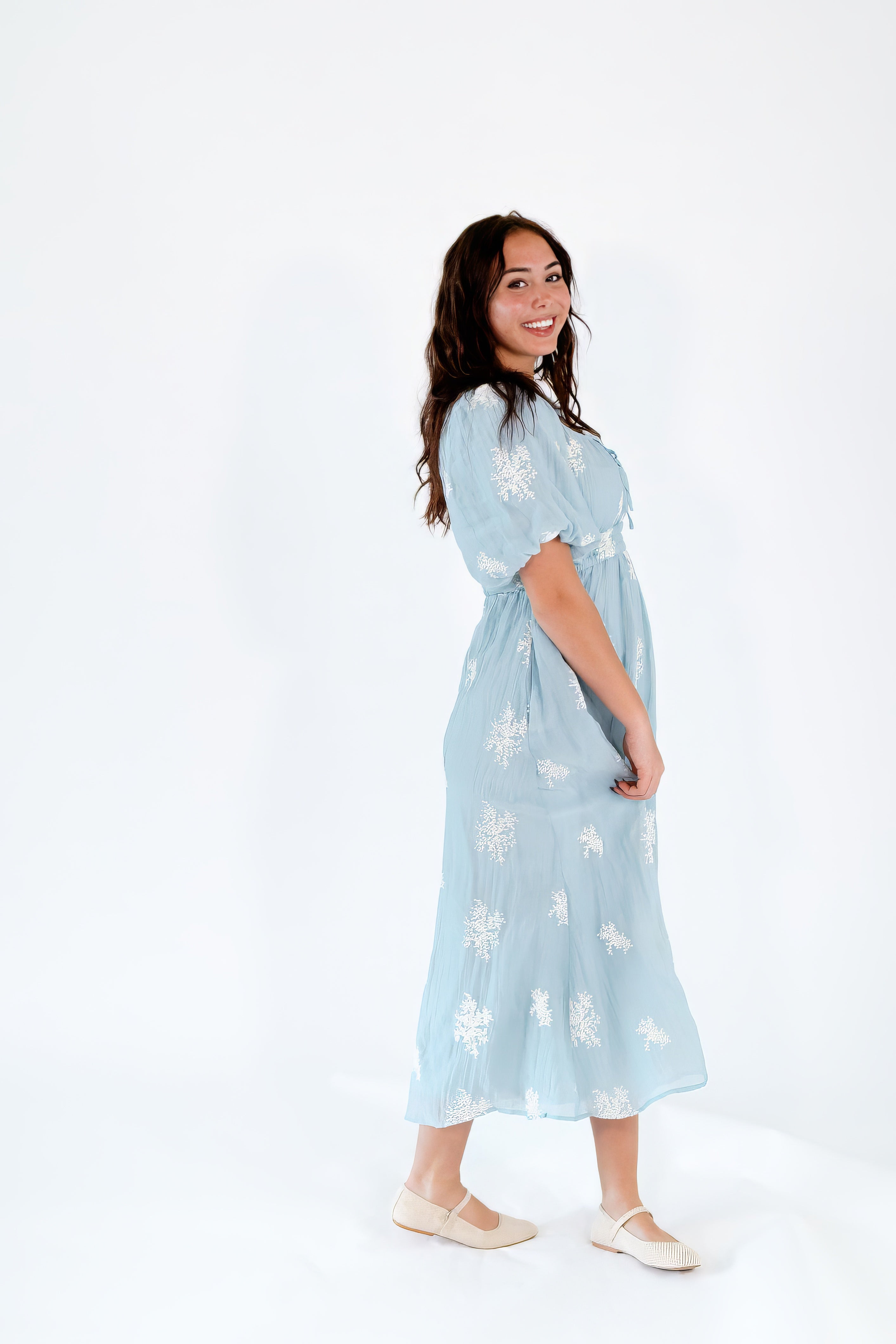 Elodie Embroidered Dress