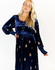 Alysha Velvet Embroidered Dress