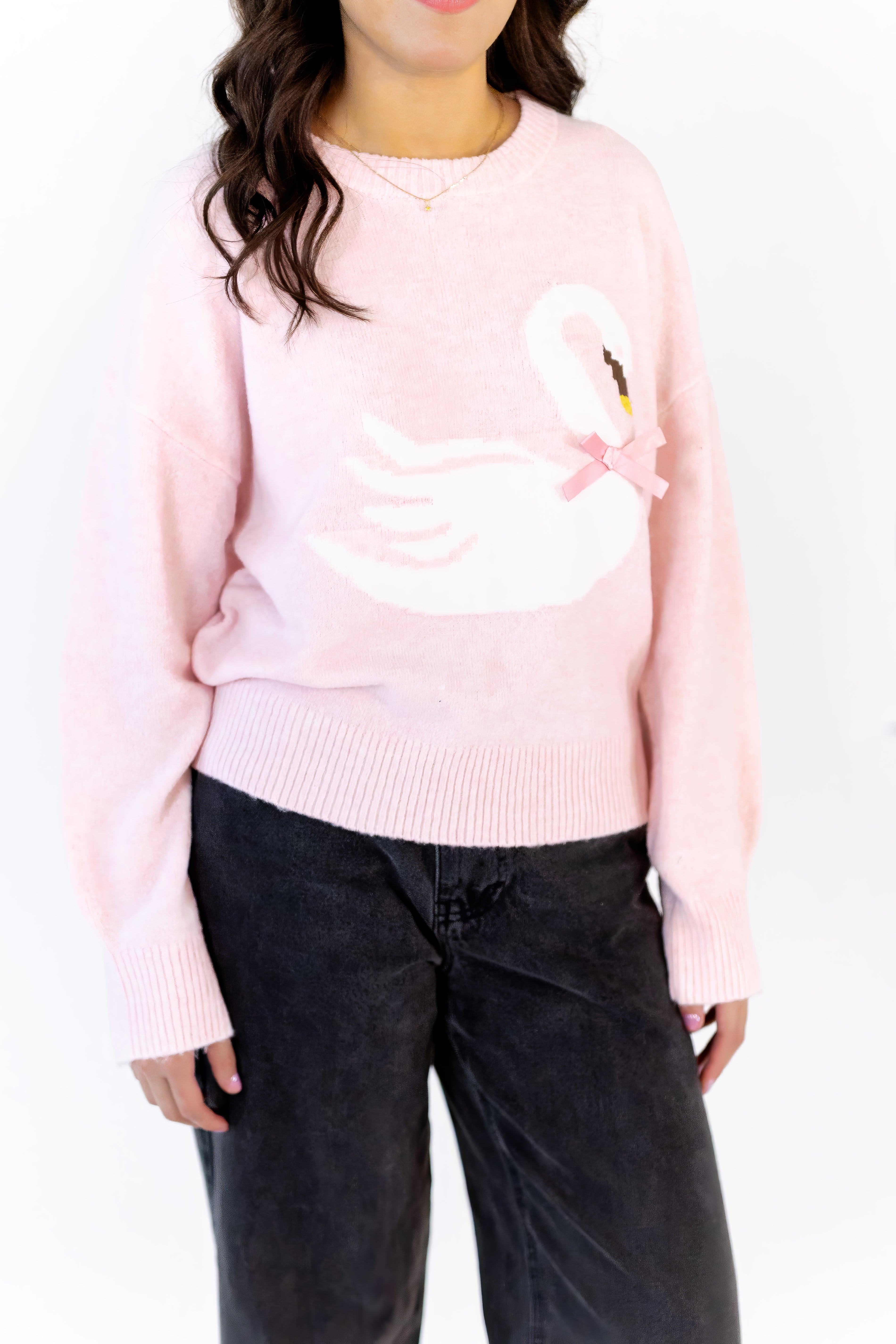 Swan Lake Knit Sweater