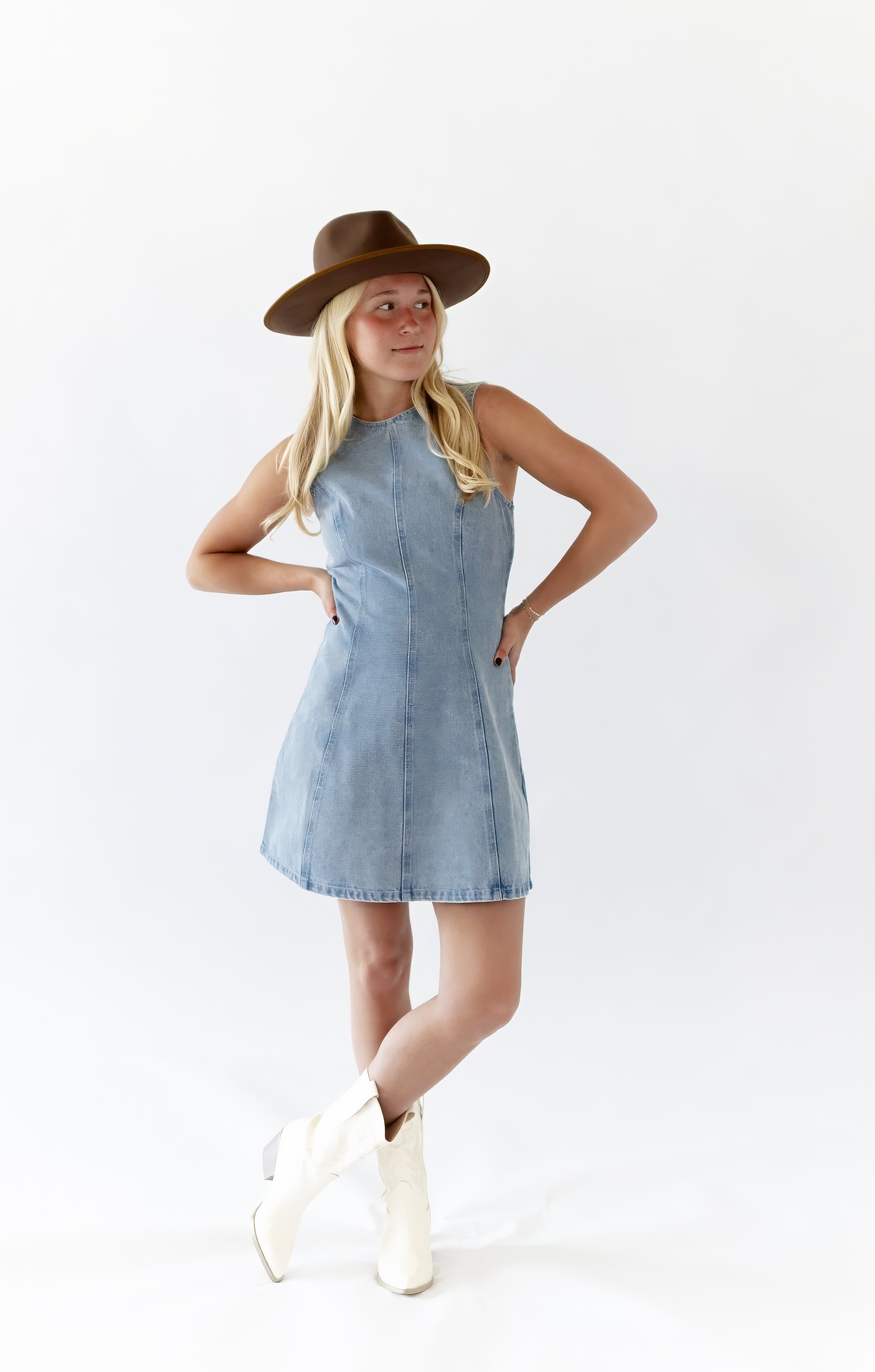 Welsey Denim Mini Dress