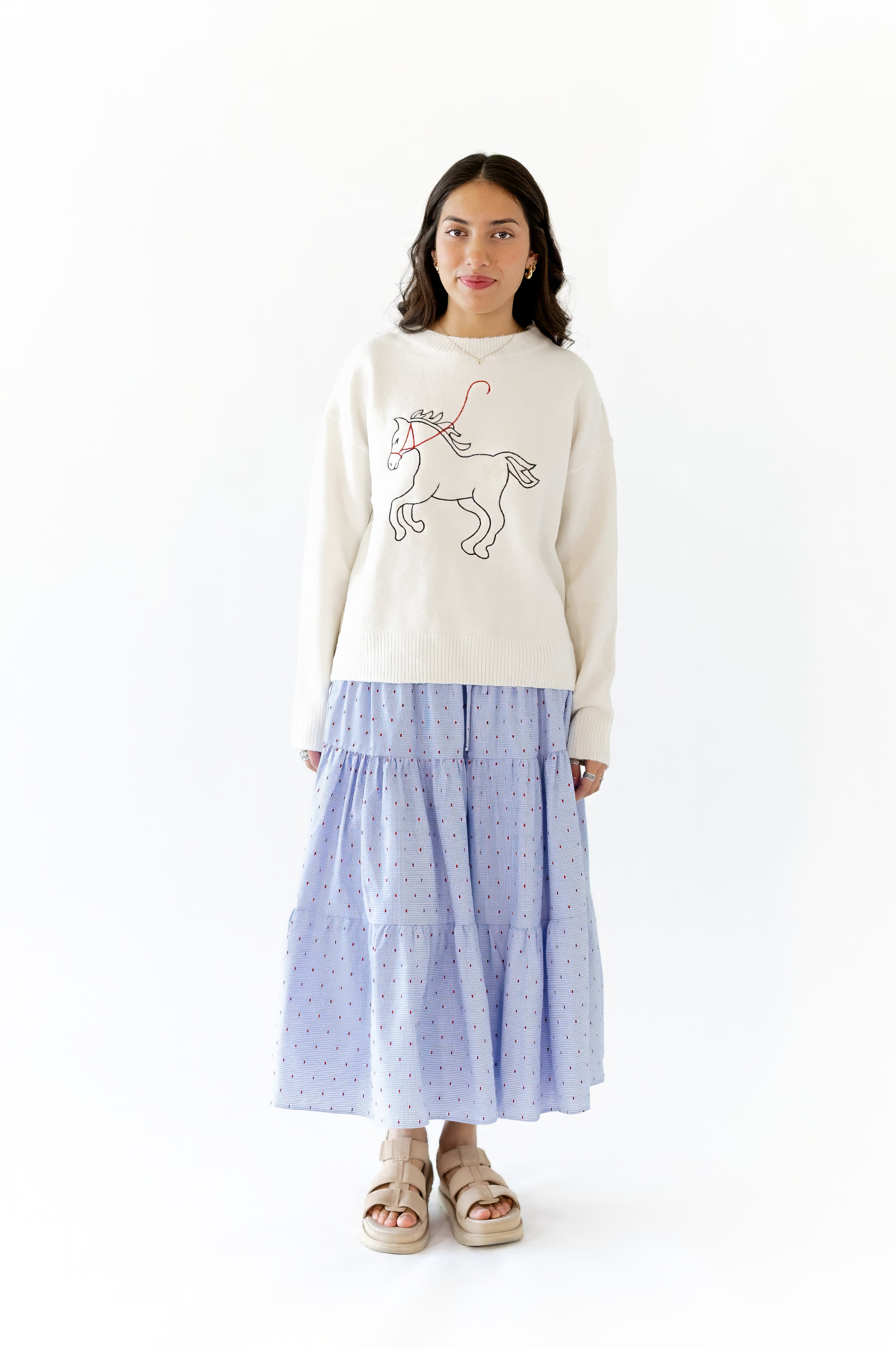 Dillon Embroidered Sweater