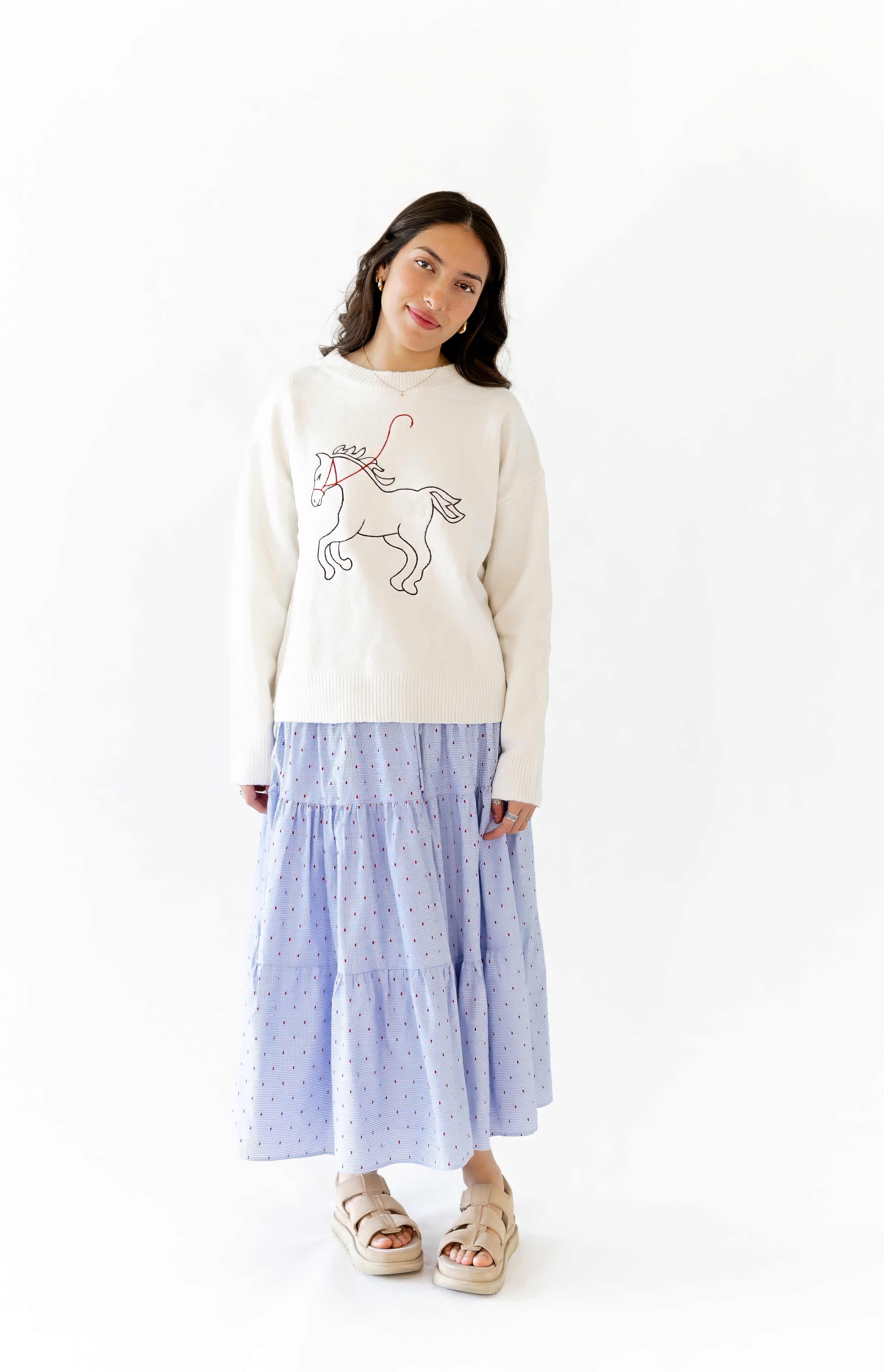 Dillon Embroidered Sweater