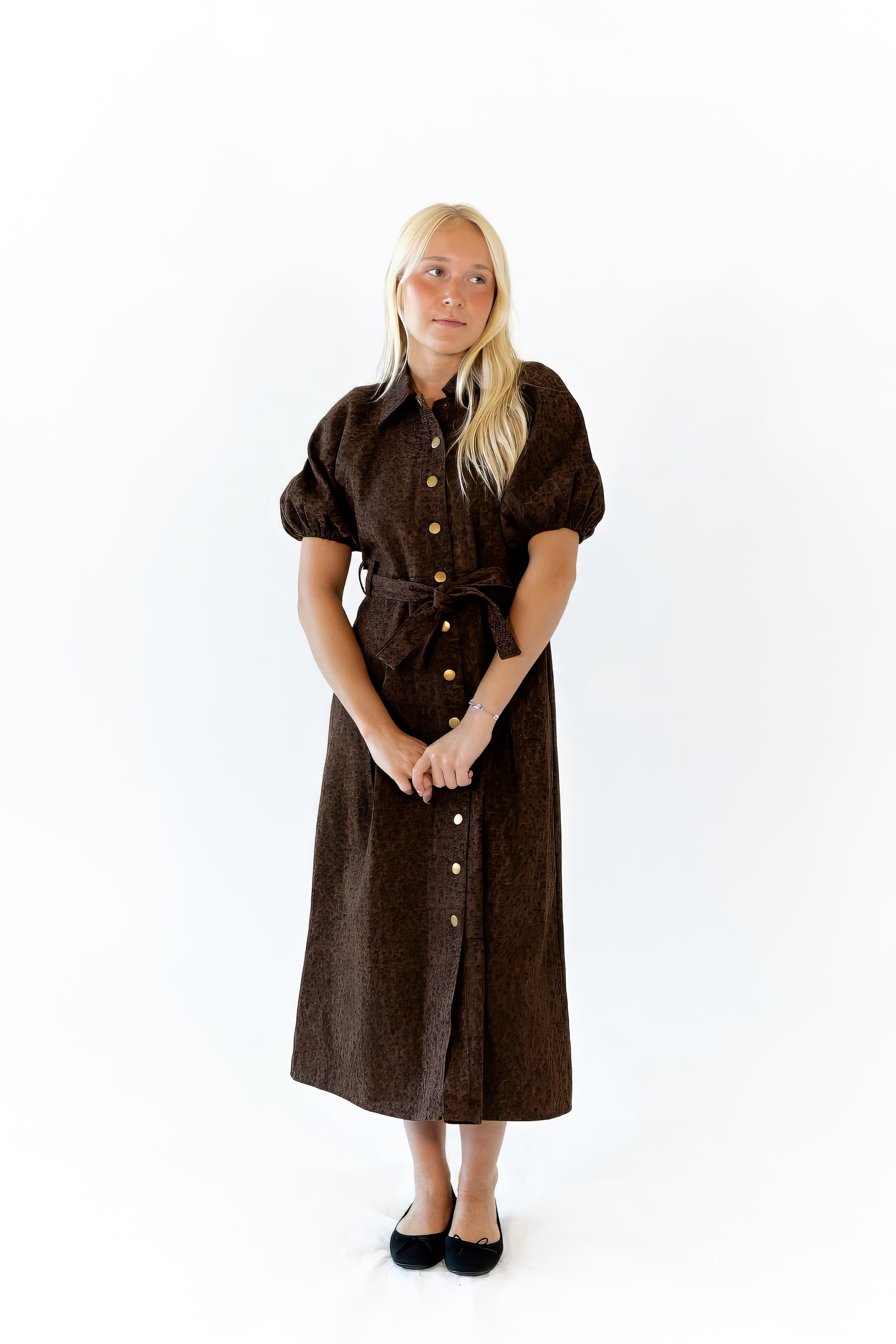 Harmon Leopard Print Dress