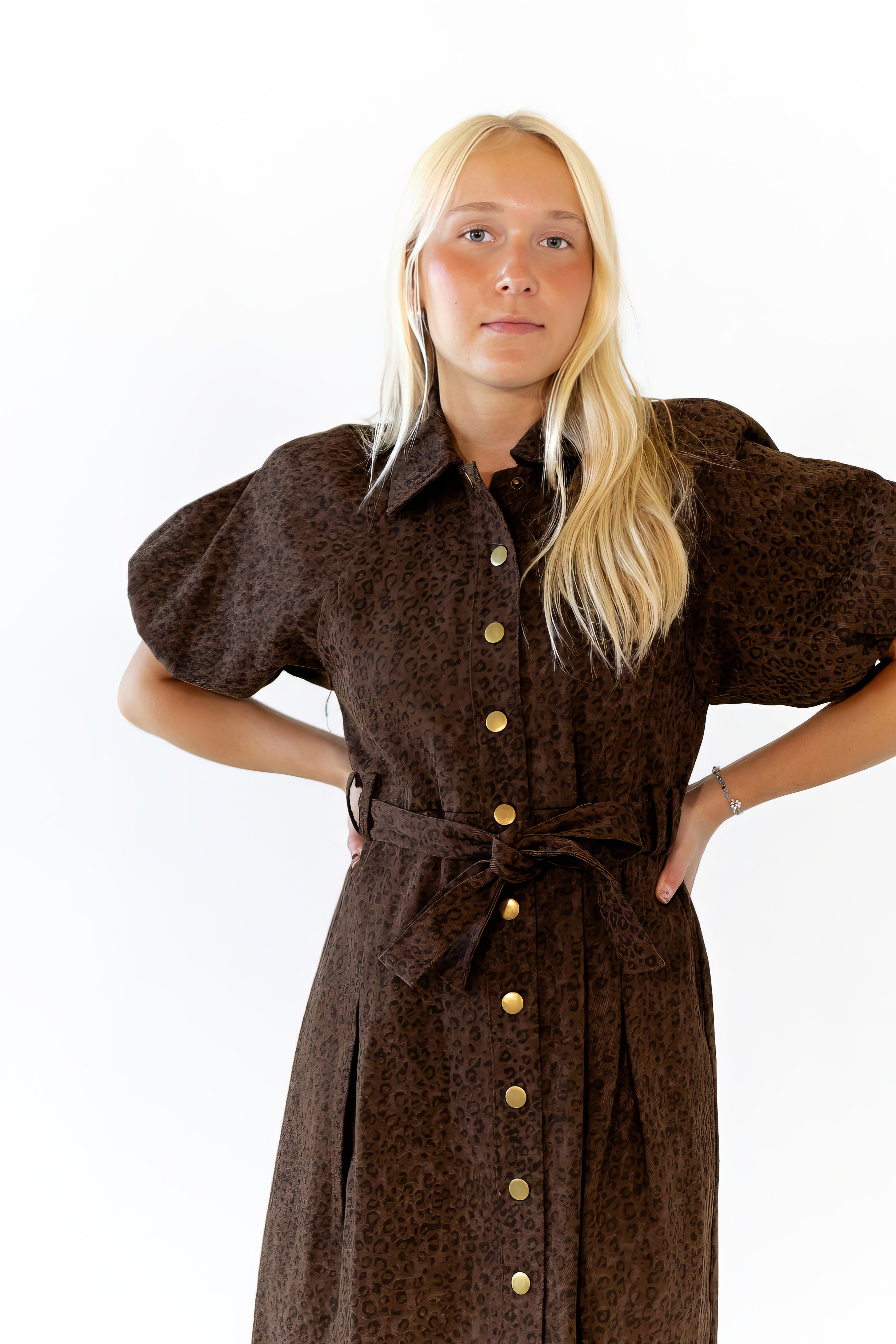 Harmon Leopard Print Dress