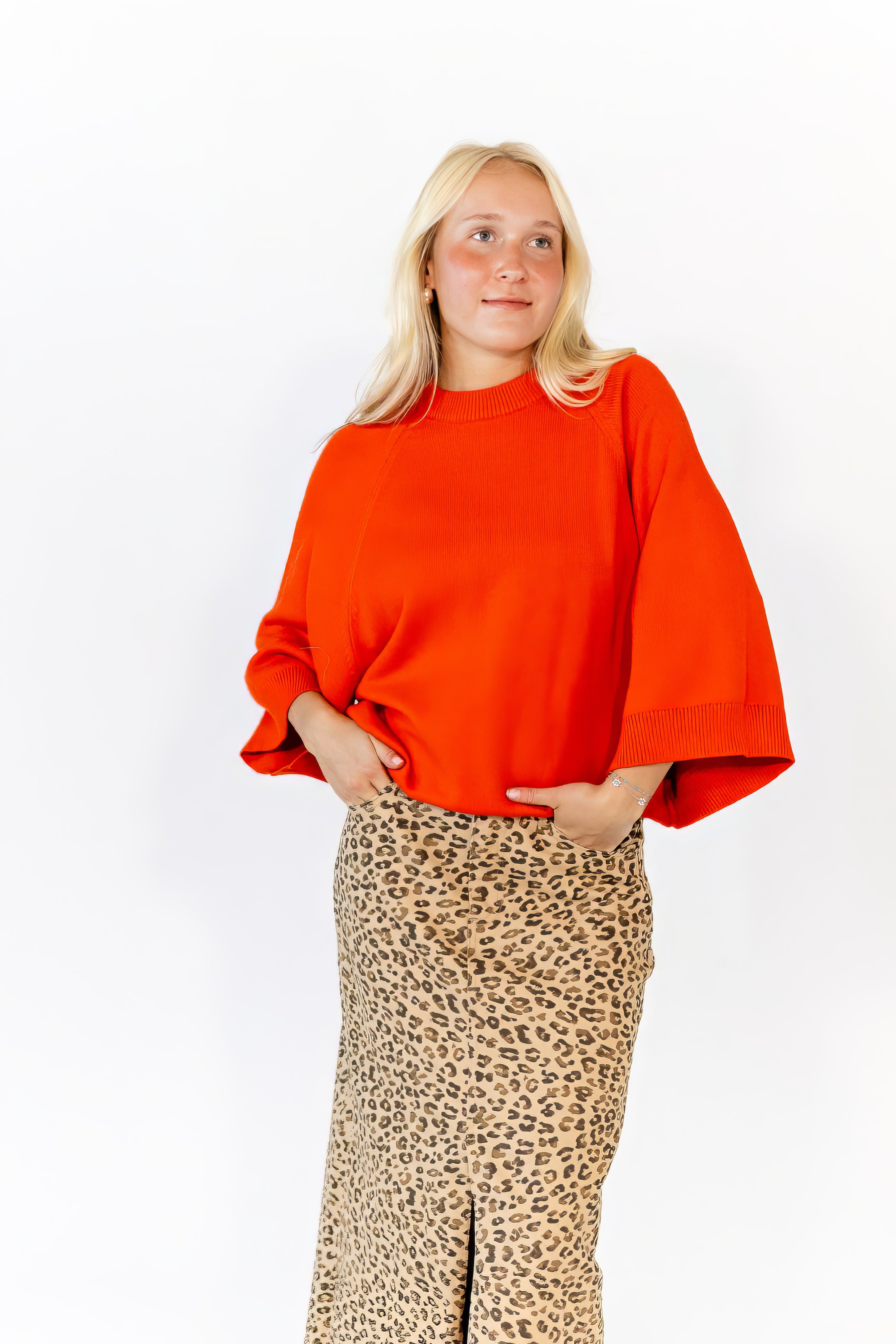 Meryll Cheetah Print Skirt