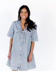 Silvia Collared Denim Dress