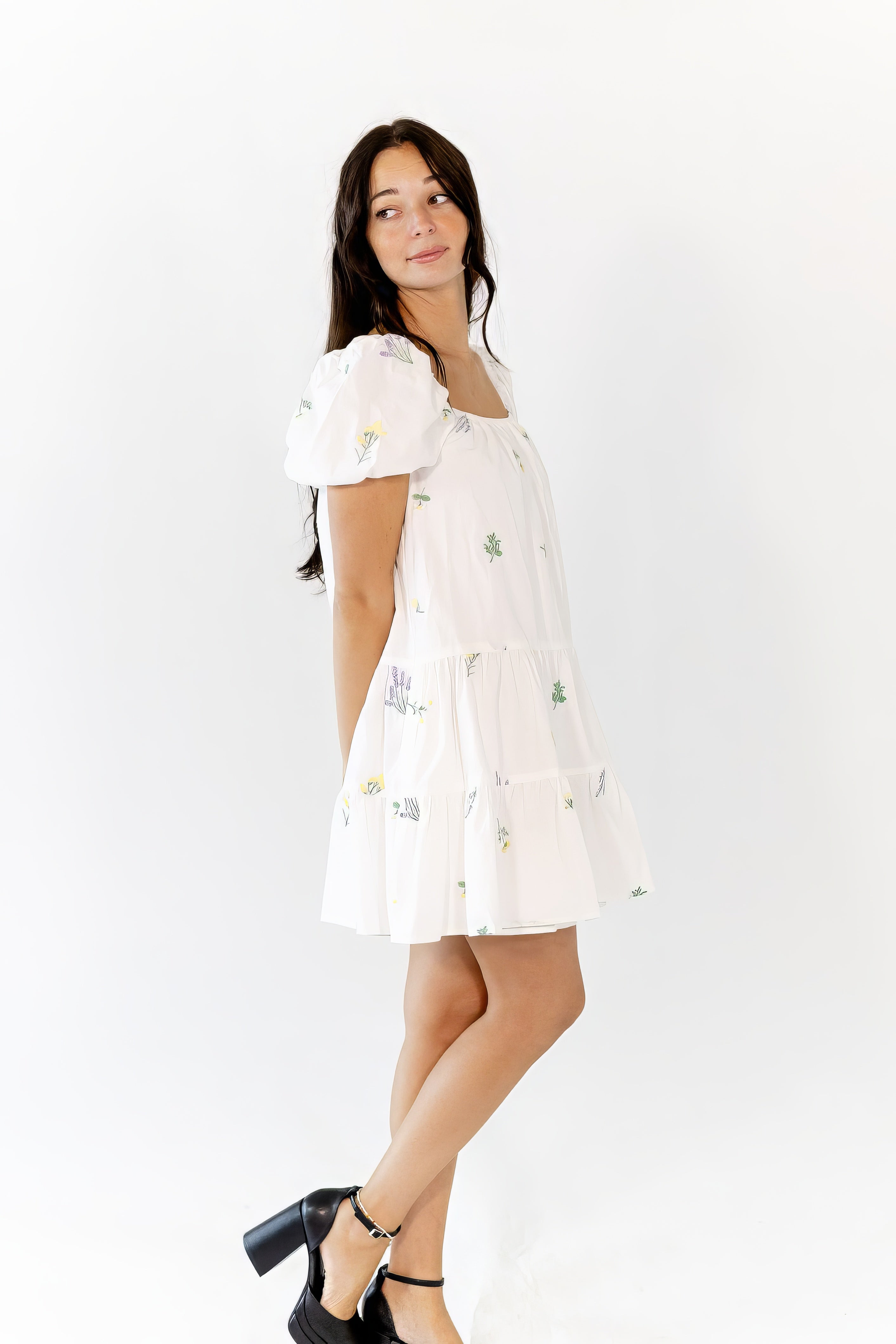 Vana Embroidered Drop Waist Dress