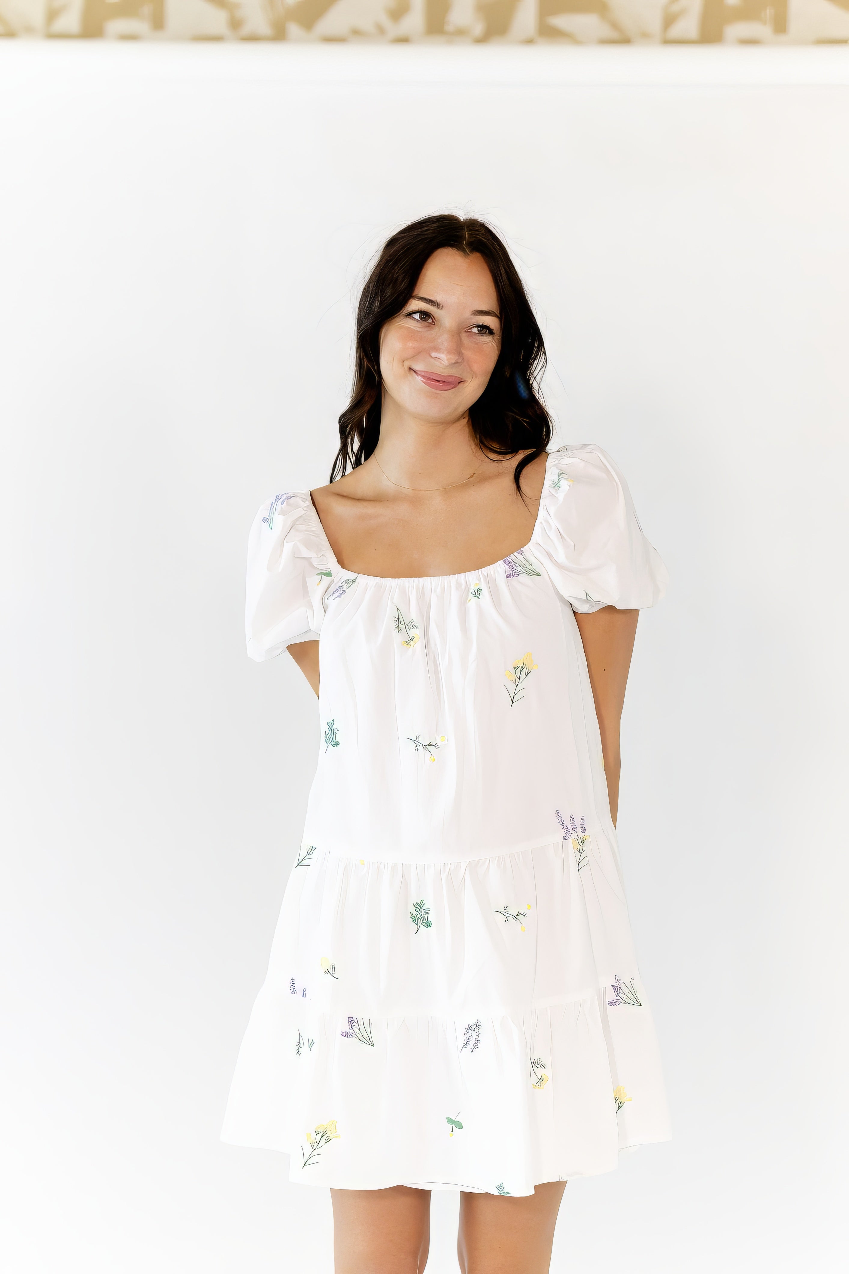 Vana Embroidered Drop Waist Dress