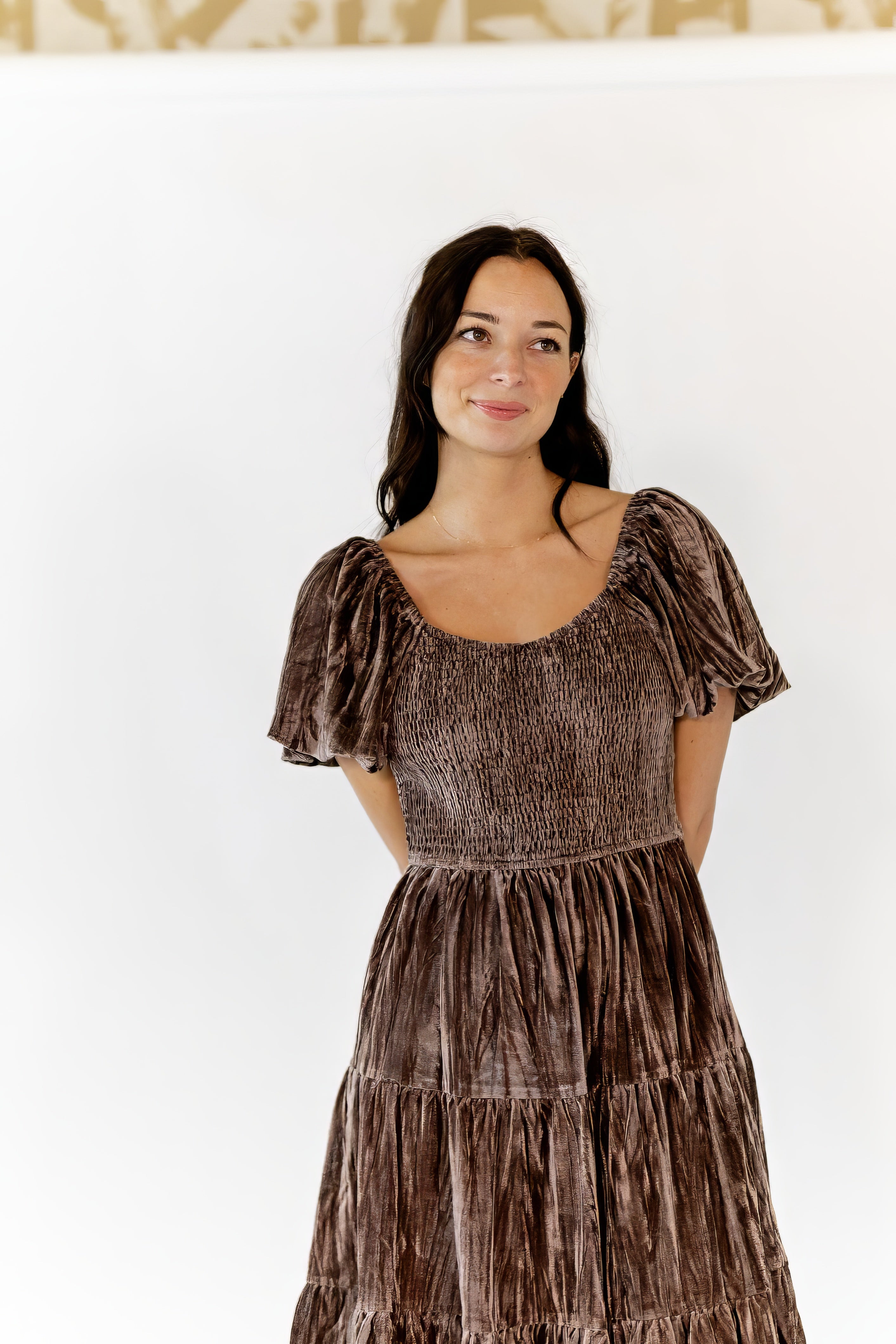 Johanna Crushed Velvet Dress