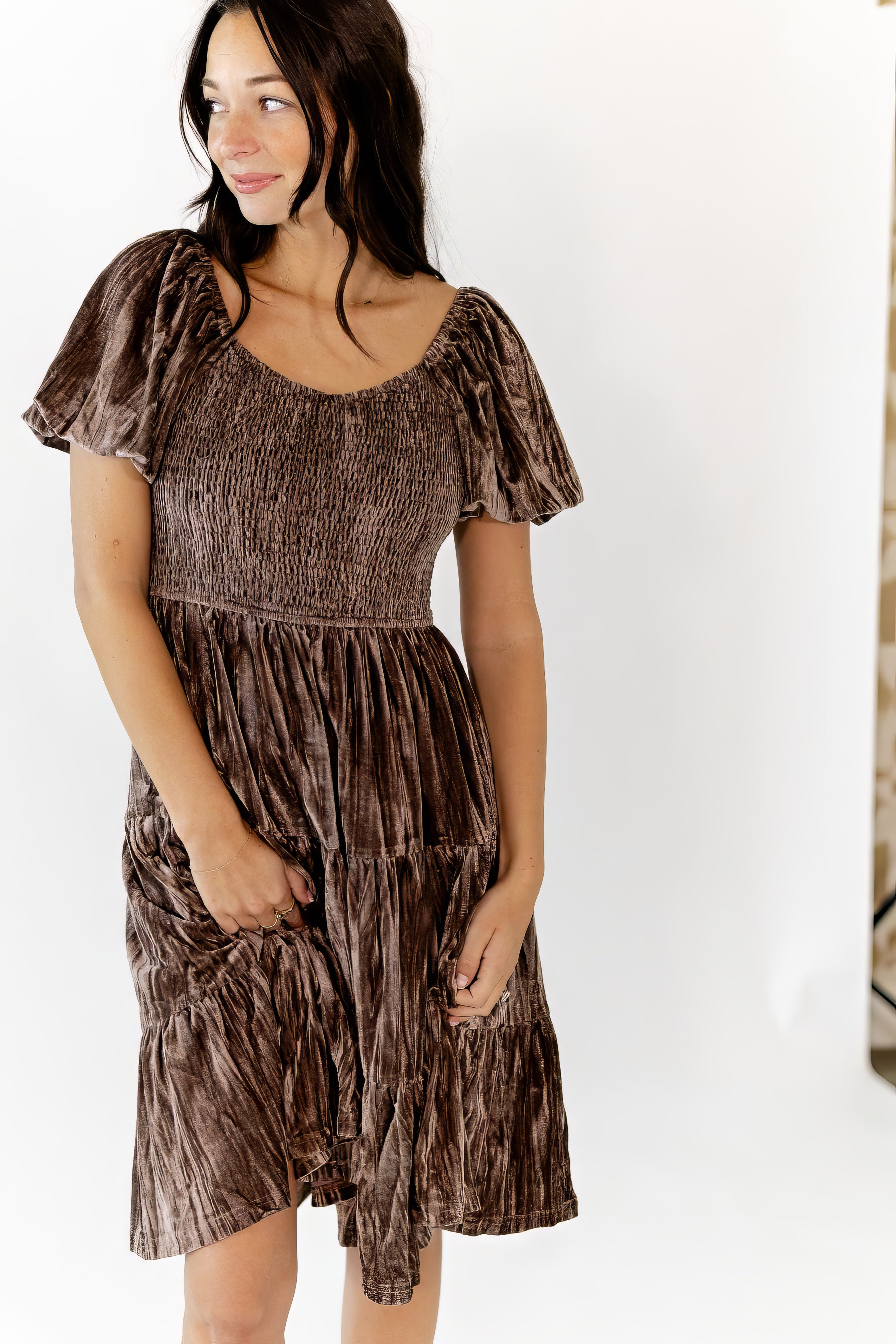 Johanna Crushed Velvet Dress