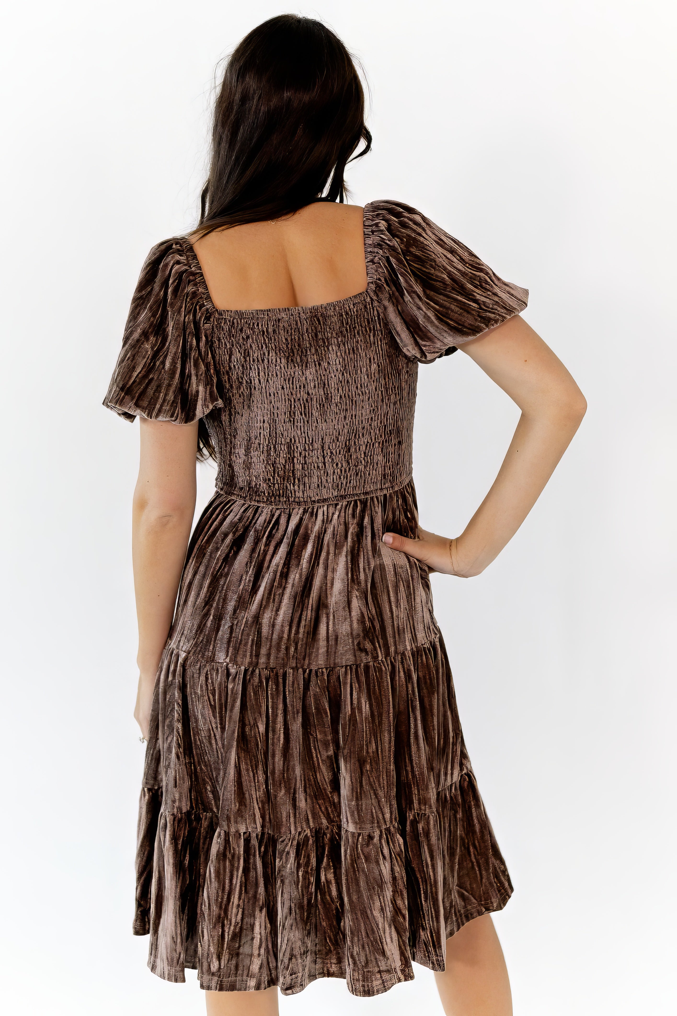 Johanna Crushed Velvet Dress