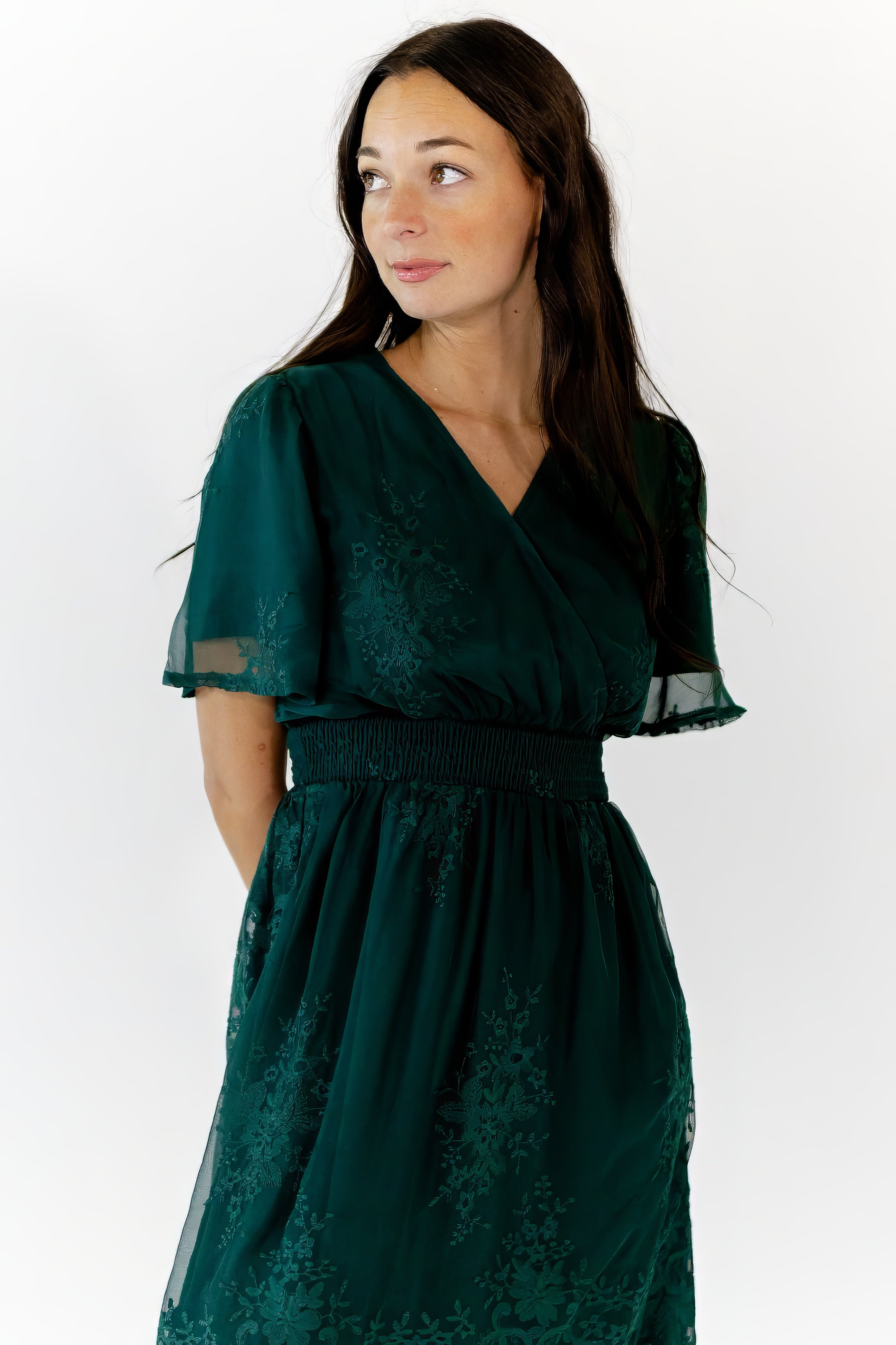 Ilena Embroidered Chiffon Midi Dress