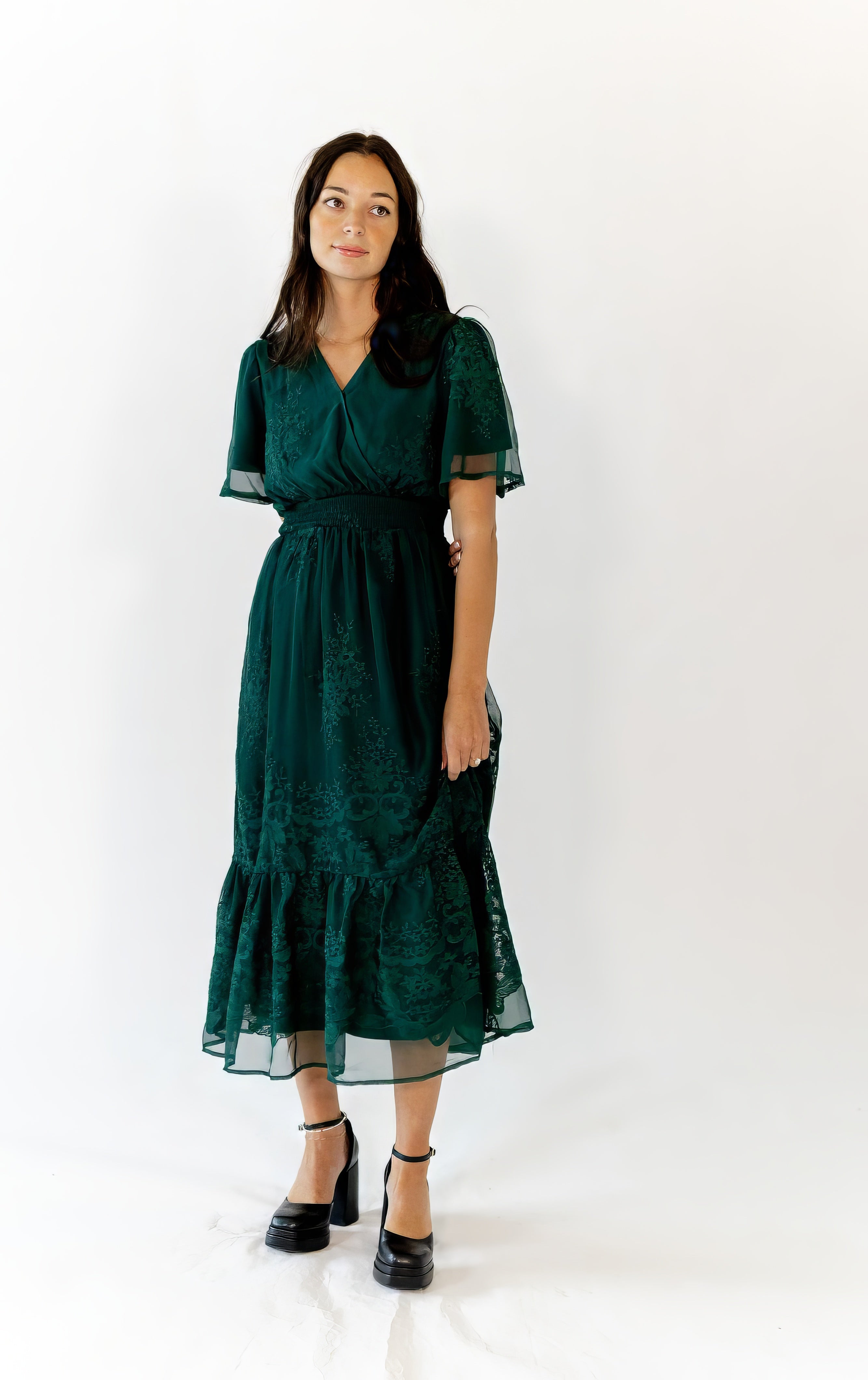 Ilena Embroidered Chiffon Midi Dress