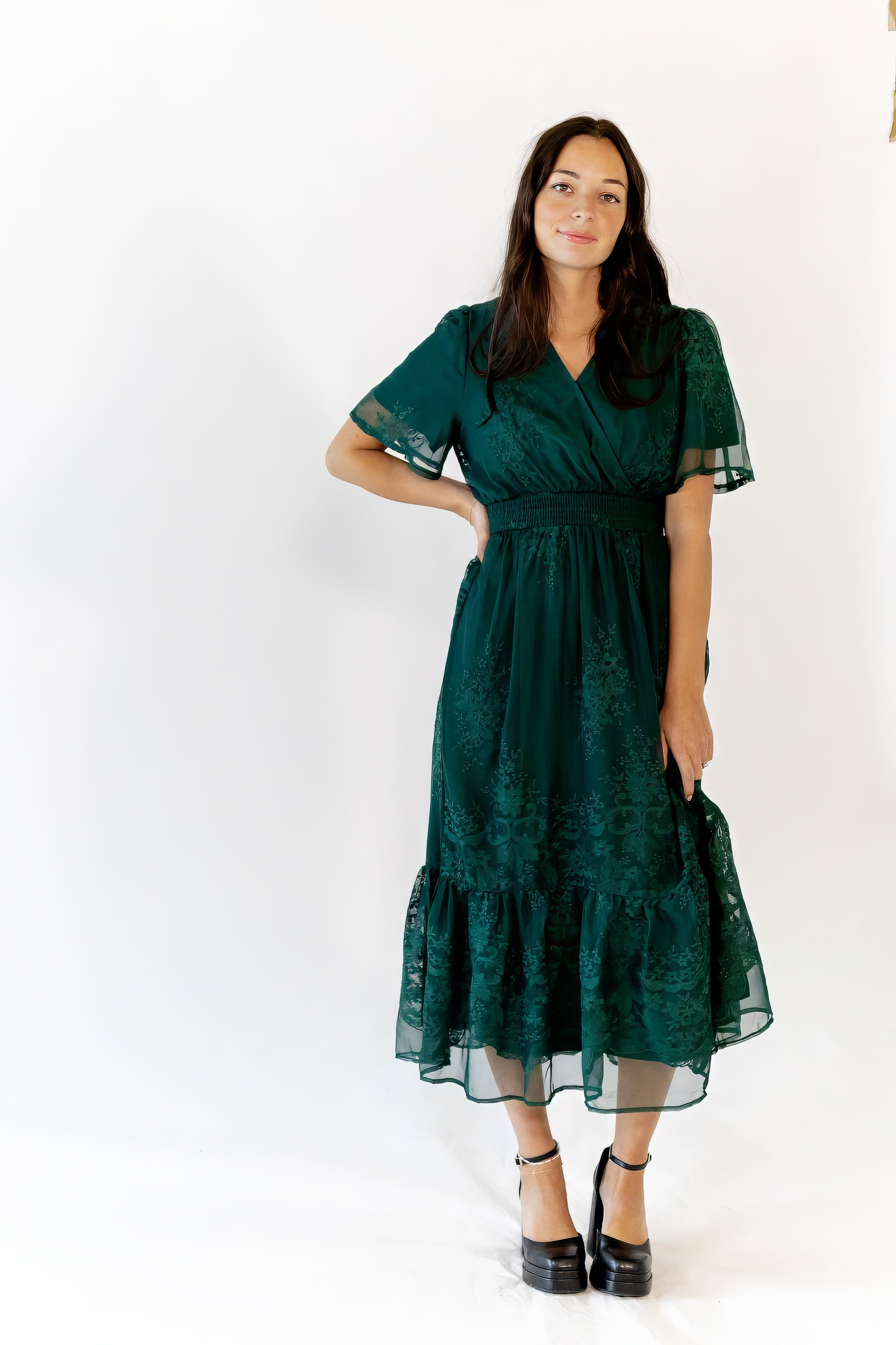 Ilena Embroidered Chiffon Midi Dress