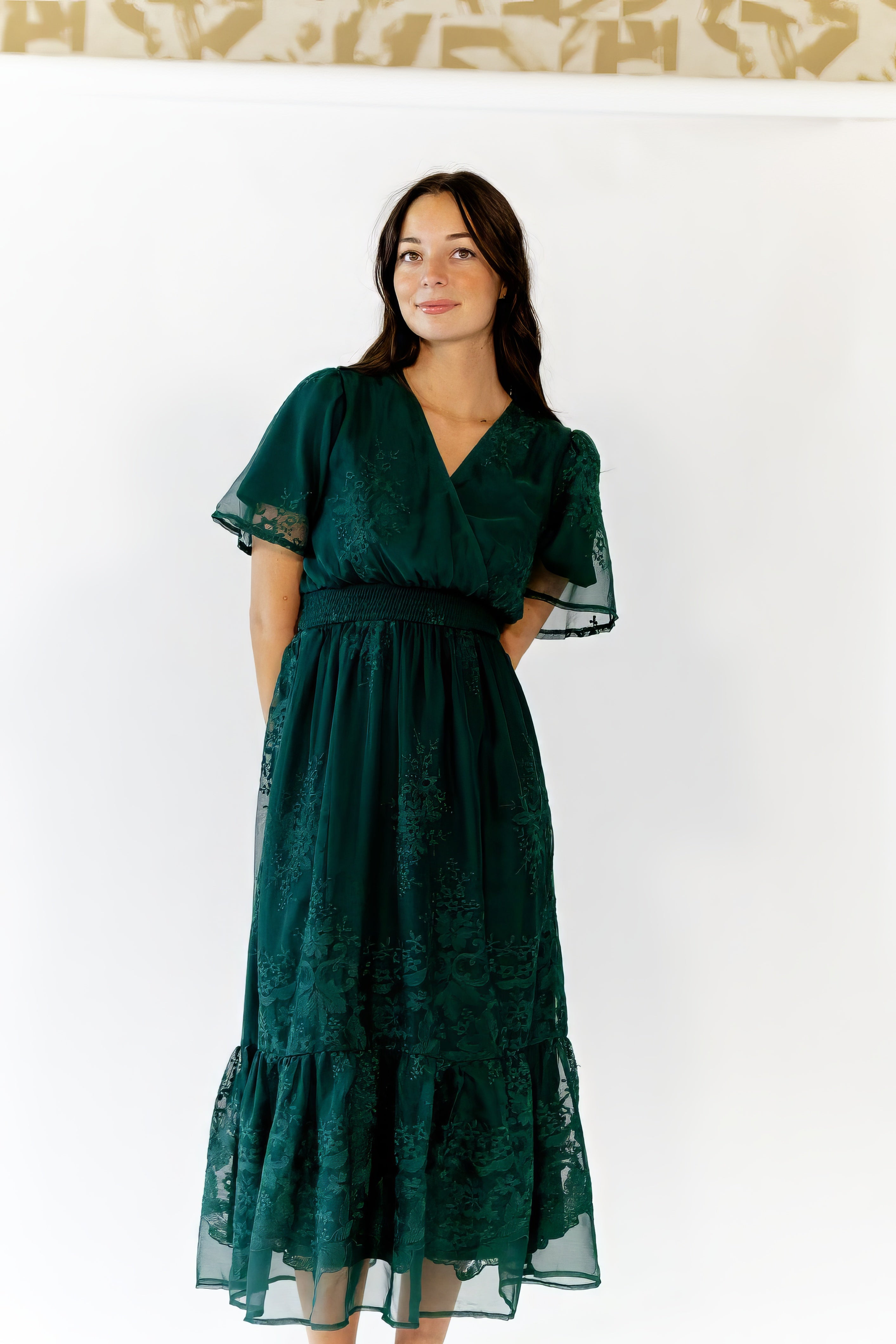 Ilena Embroidered Chiffon Midi Dress