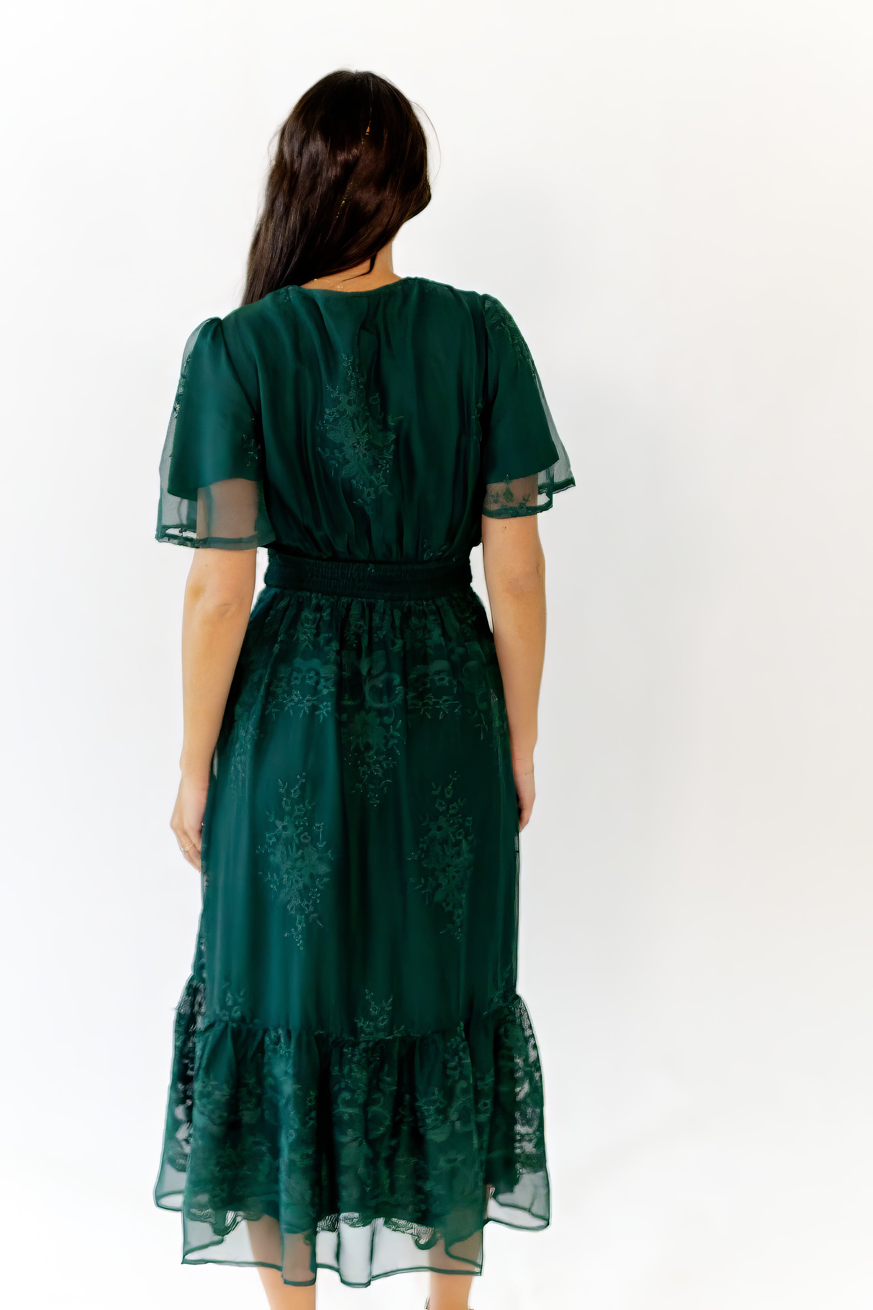 Ilena Embroidered Chiffon Midi Dress