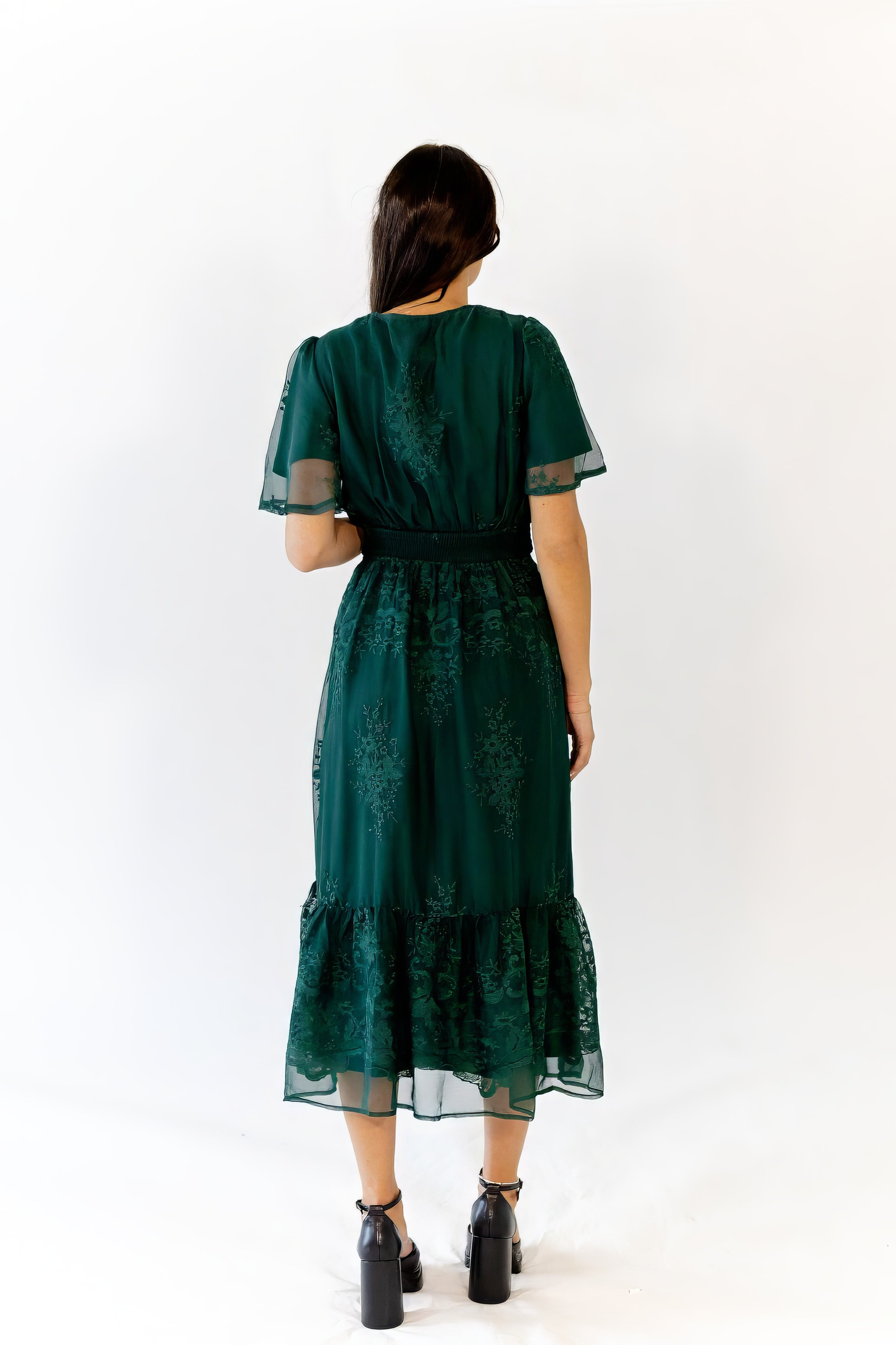 Ilena Embroidered Chiffon Midi Dress