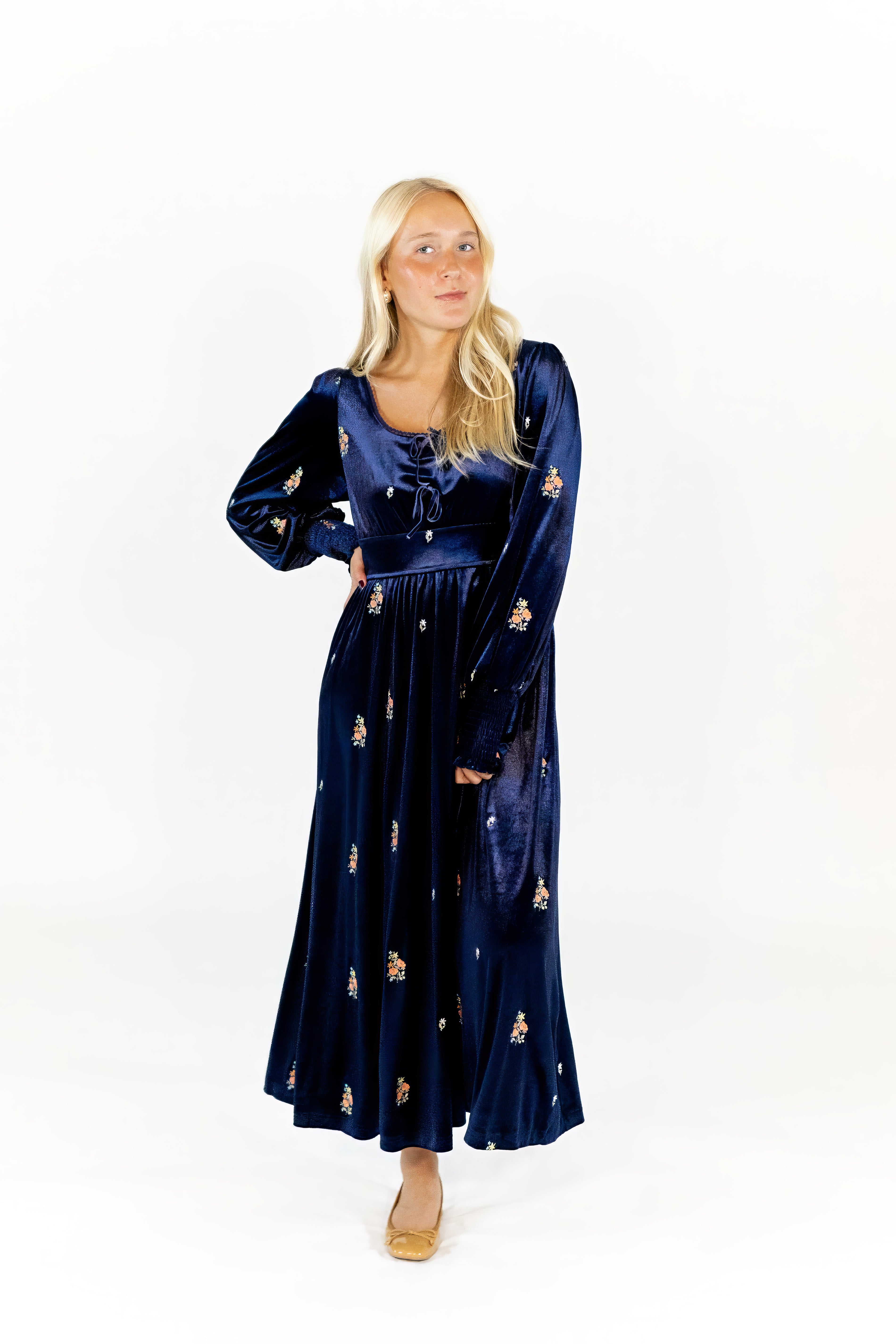 Alysha Velvet Embroidered Dress