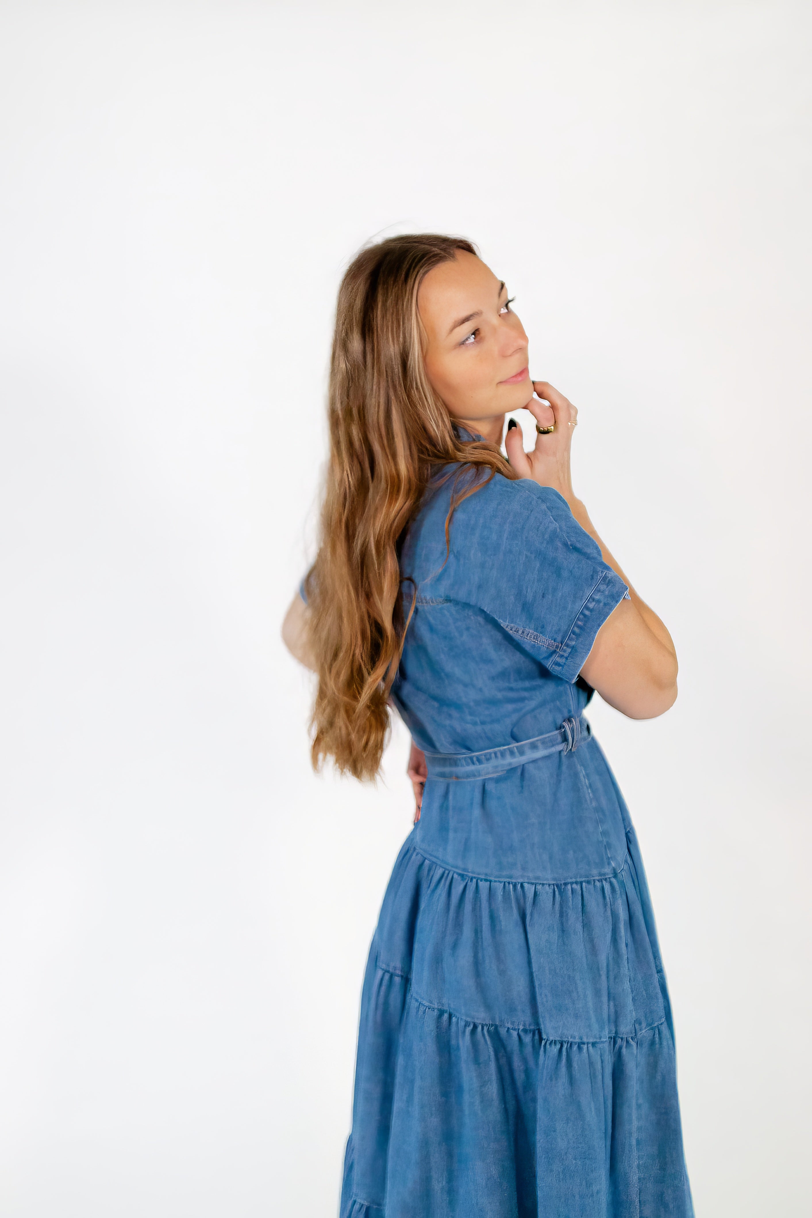 Beau Denim Maxi Dress