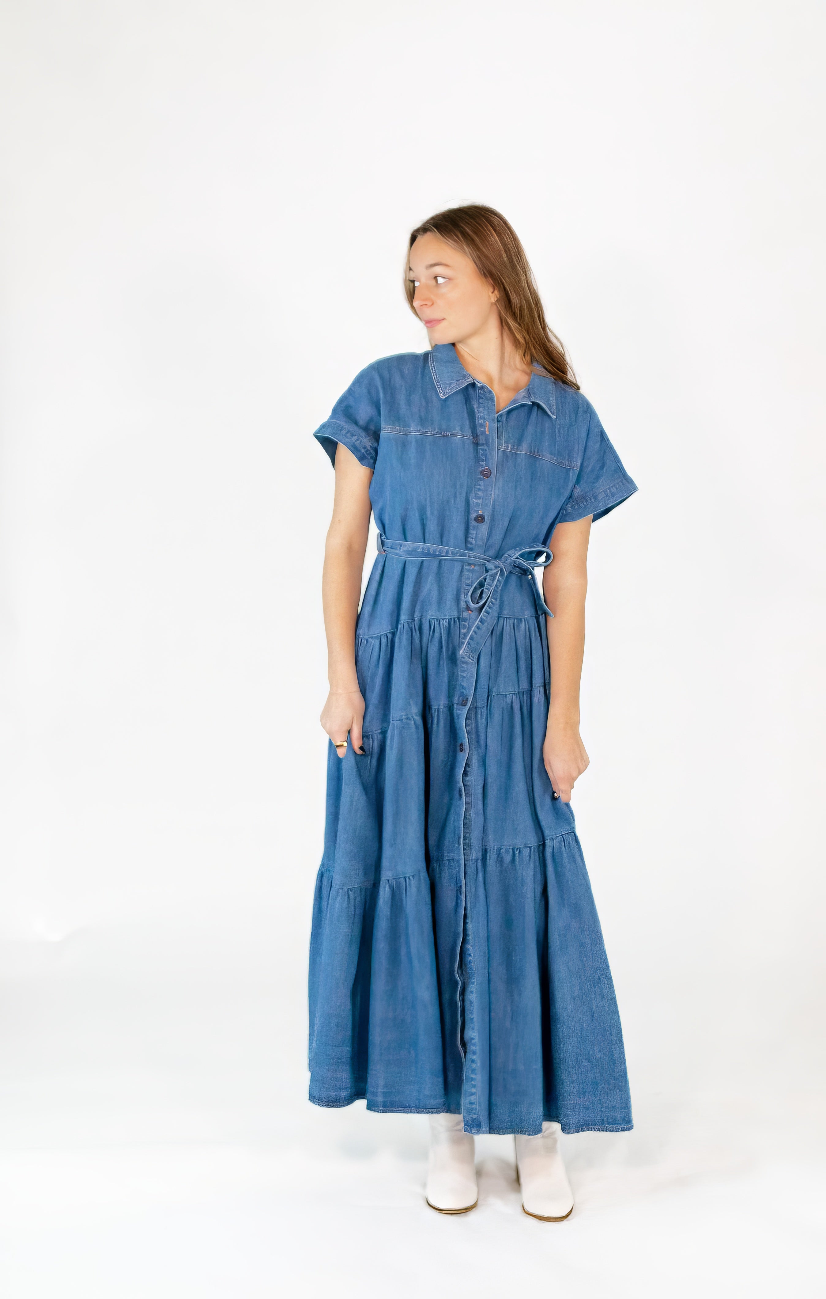 Beau Denim Maxi Dress